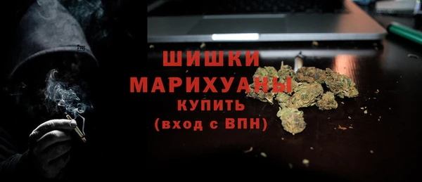 PSILOCYBIN Каменногорск