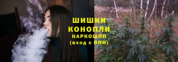 PSILOCYBIN Каменногорск