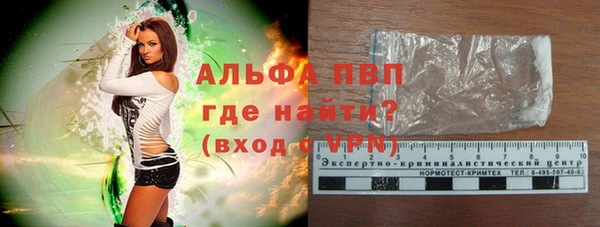 PSILOCYBIN Каменногорск