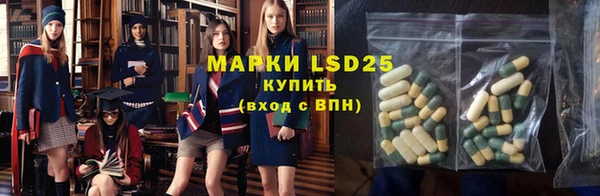 PSILOCYBIN Каменногорск